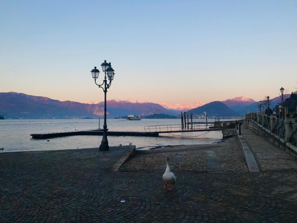 Le Betulle Villa Oggebbio Dış mekan fotoğraf