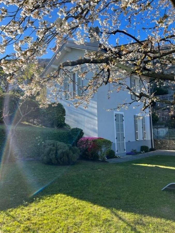 Le Betulle Villa Oggebbio Dış mekan fotoğraf
