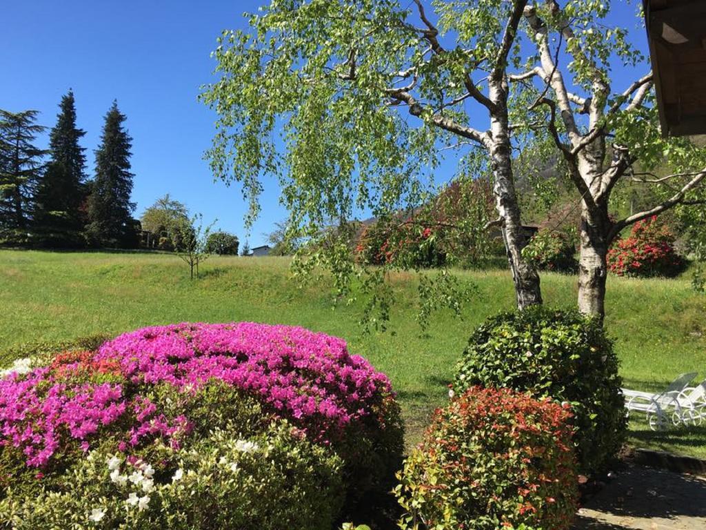 Le Betulle Villa Oggebbio Dış mekan fotoğraf