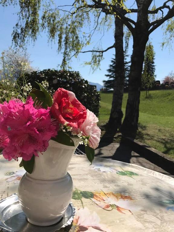 Le Betulle Villa Oggebbio Dış mekan fotoğraf