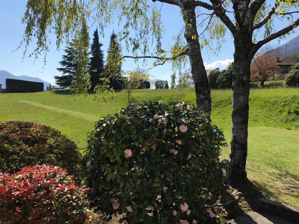Le Betulle Villa Oggebbio Dış mekan fotoğraf