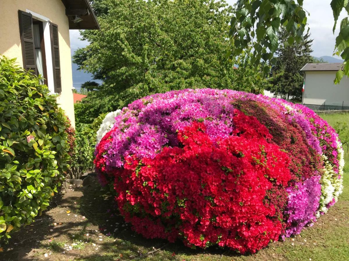 Le Betulle Villa Oggebbio Dış mekan fotoğraf