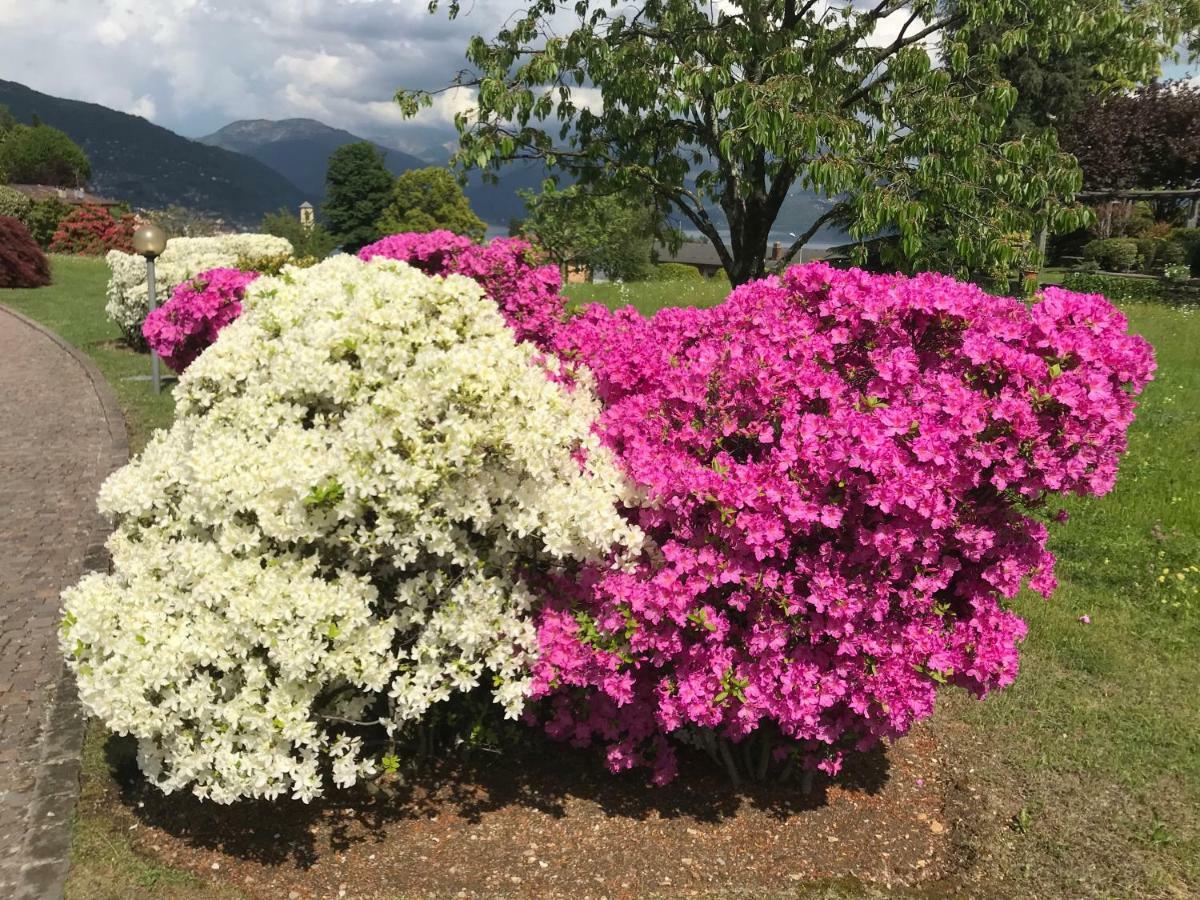 Le Betulle Villa Oggebbio Dış mekan fotoğraf